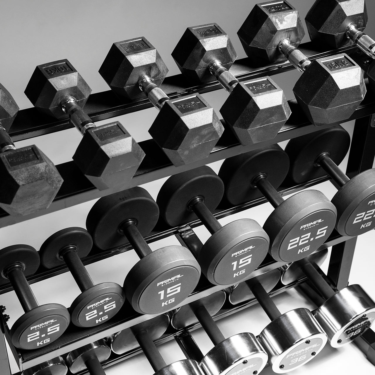 Primal Personal Series Compact 3-Tier Boxed Dumbbell Rack – StrengthX