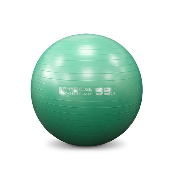 Physical Company Pro Stability Ball